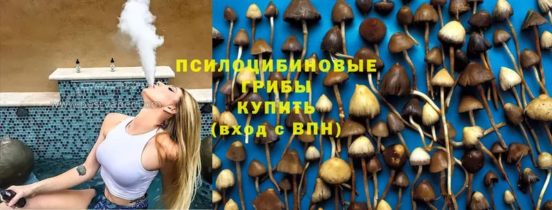 Псилоцибиновые грибы MAGIC MUSHROOMS  mega маркетплейс  Инсар 