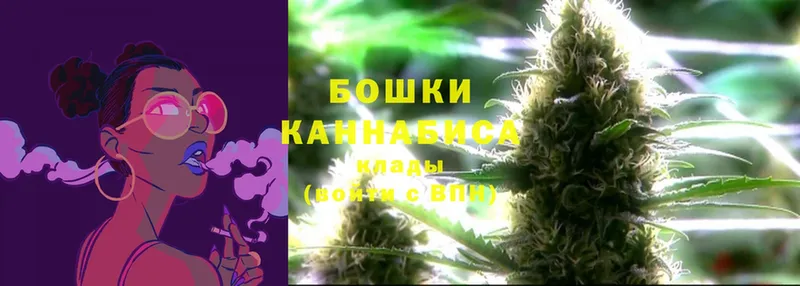 Бошки марихуана THC 21%  omg вход  Инсар 